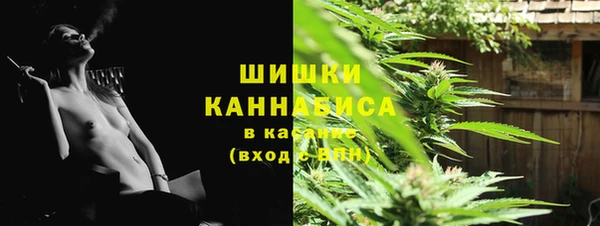 мяу мяу мука Абаза