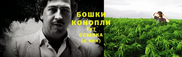 мяу мяу мука Абаза