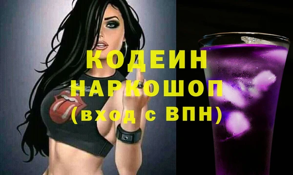 индика Осташков
