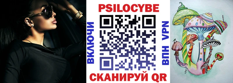 где продают   Дальнереченск  omg зеркало  darknet телеграм  Галлюциногенные грибы Psilocybine cubensis 
